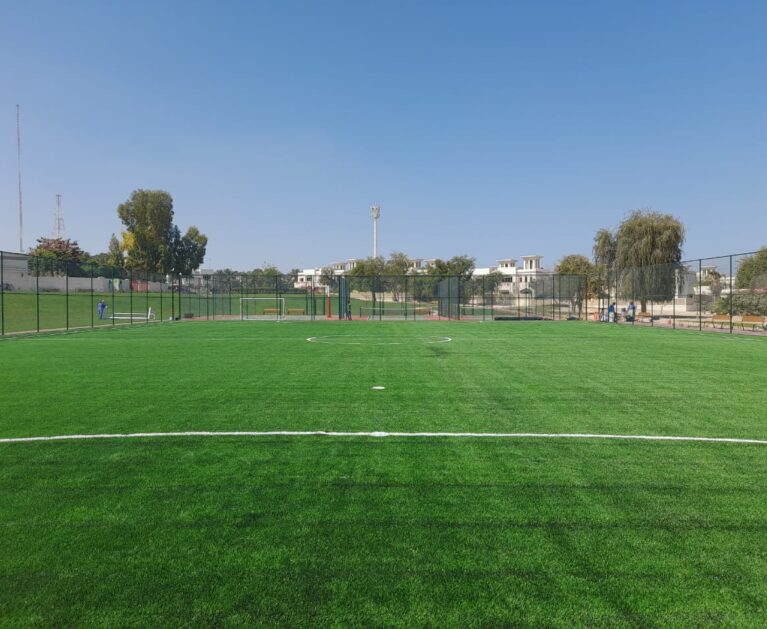 20210479-DESERT-PJ1395-TURF-3